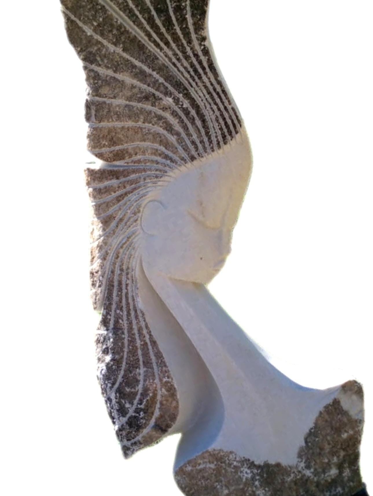 SHONA STONE SCULPTURE, lady bust statue, female head bust, dolomite stone, home decor statue, african statue, carving stone