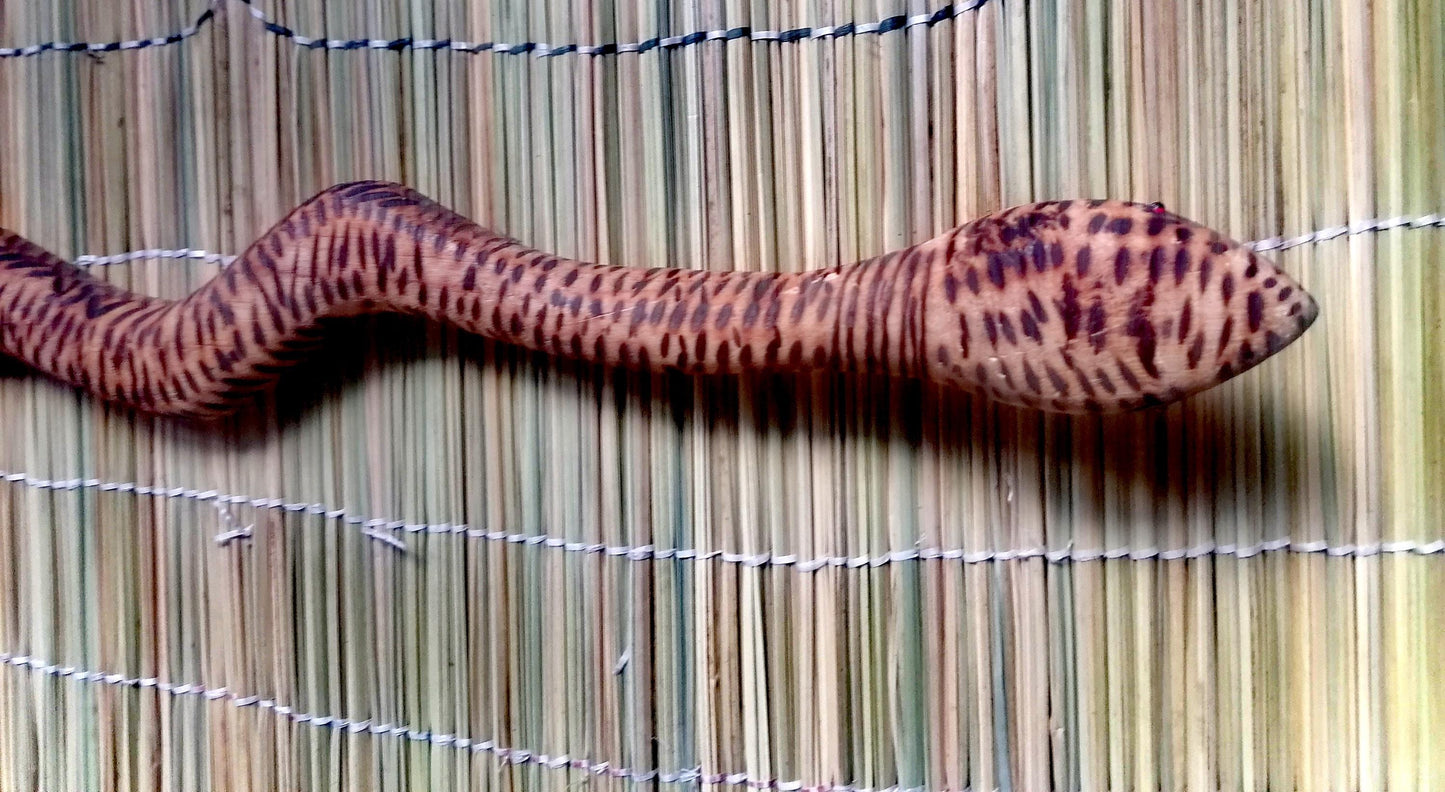SNAKE WALKING STICK , walking canes for men, african canes for women, Wooden Walking Stick, handmade stick, catwalk accessories,