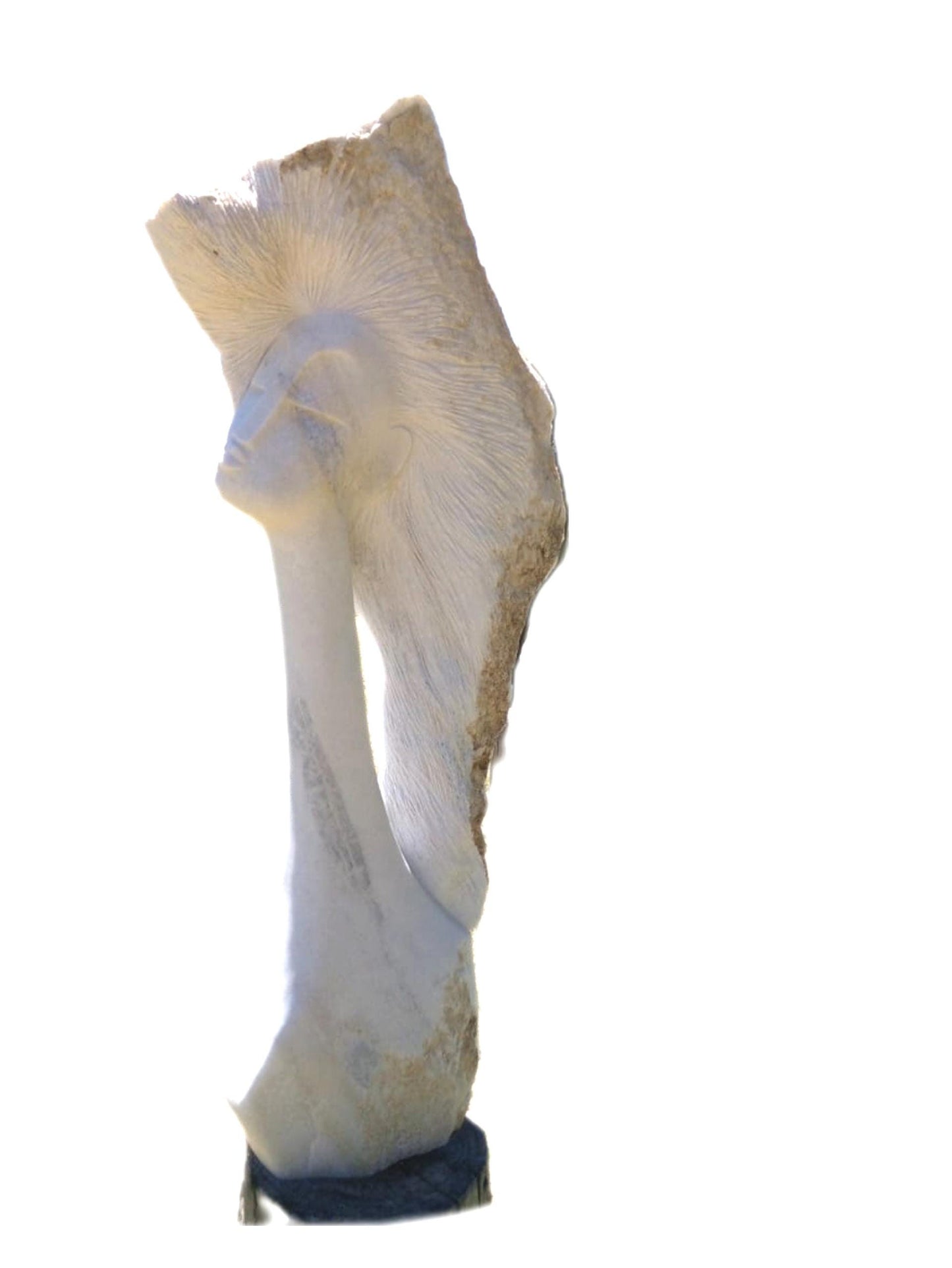 SHONA STONE SCULPTURE, lady bust statue, female head bust, dolomite stone, home decor statue, african statue, carving stone