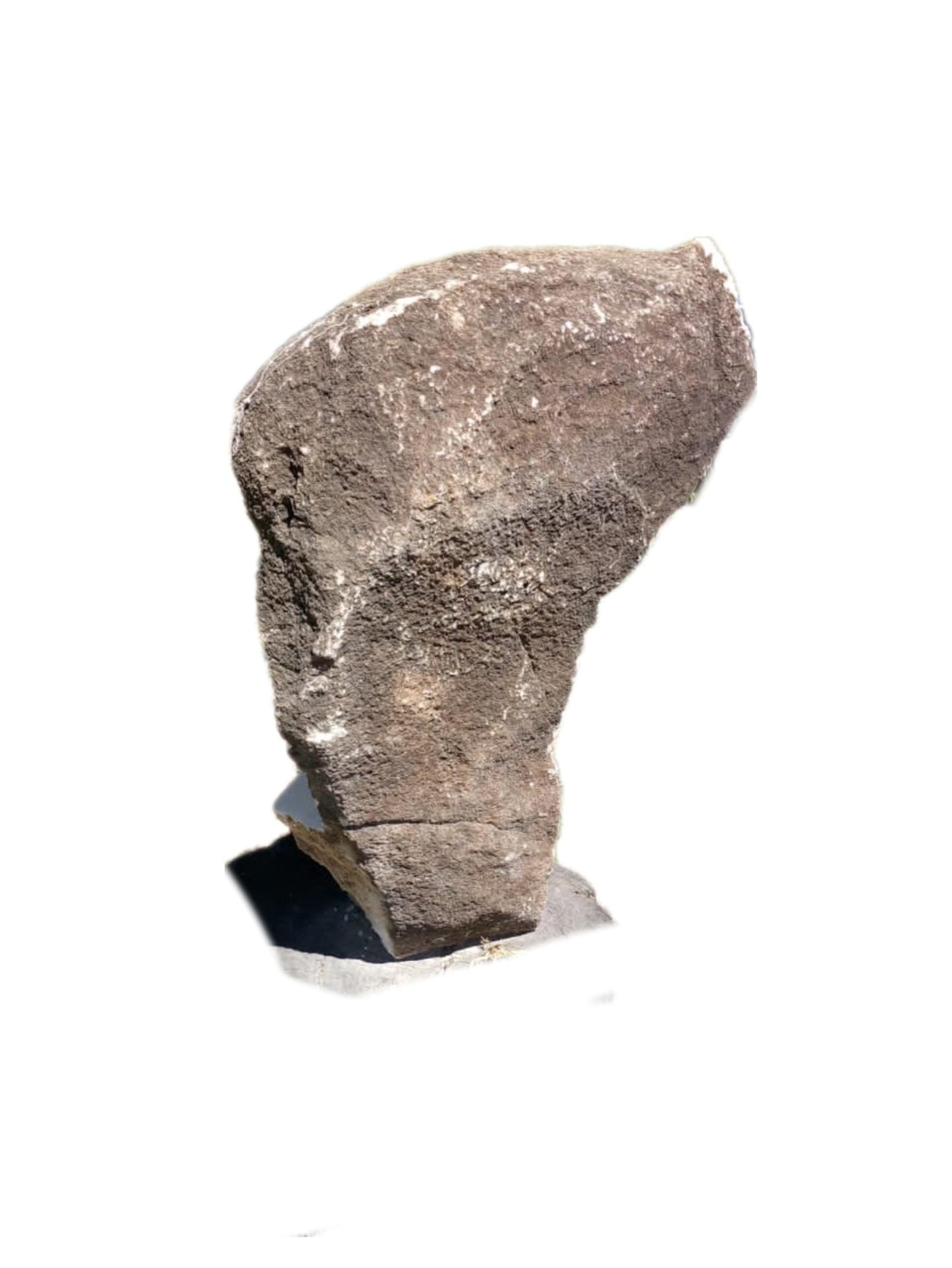 SHONA STONE SCULPTURE, lady bust statue, female head bust, dolomite stone, home decor statue, african statue, carving stone