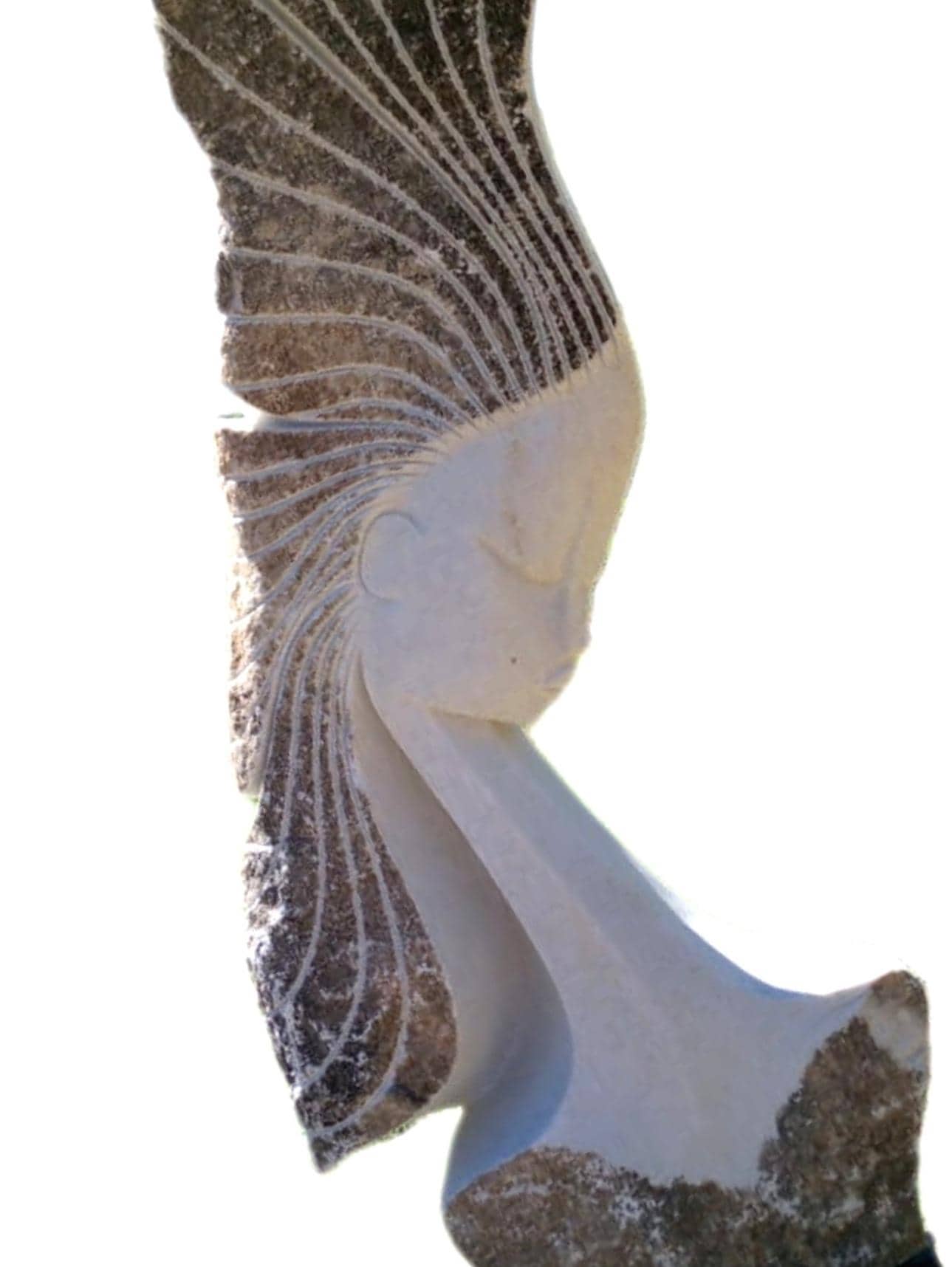 SHONA STONE SCULPTURE, lady bust statue, female head bust, dolomite stone, home decor statue, african statue, carving stone