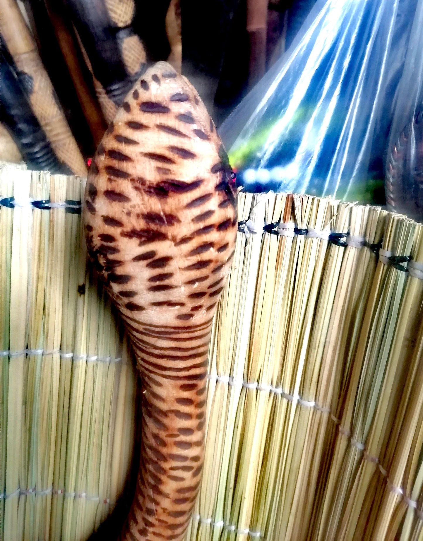 SNAKE WALKING STICK , walking canes for men, african canes for women, Wooden Walking Stick, handmade stick, catwalk accessories,