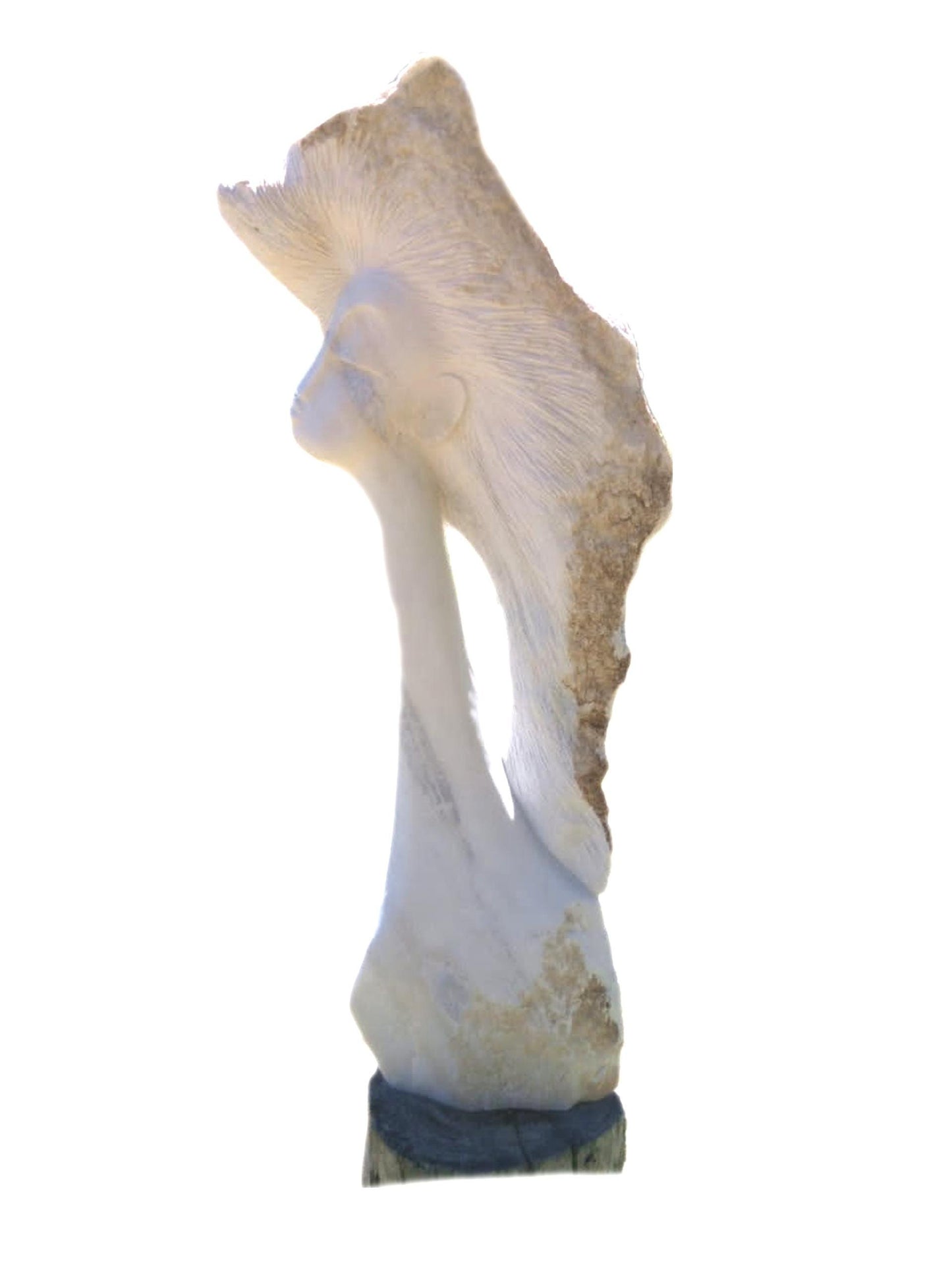 SHONA STONE SCULPTURE, lady bust statue, female head bust, dolomite stone, home decor statue, african statue, carving stone