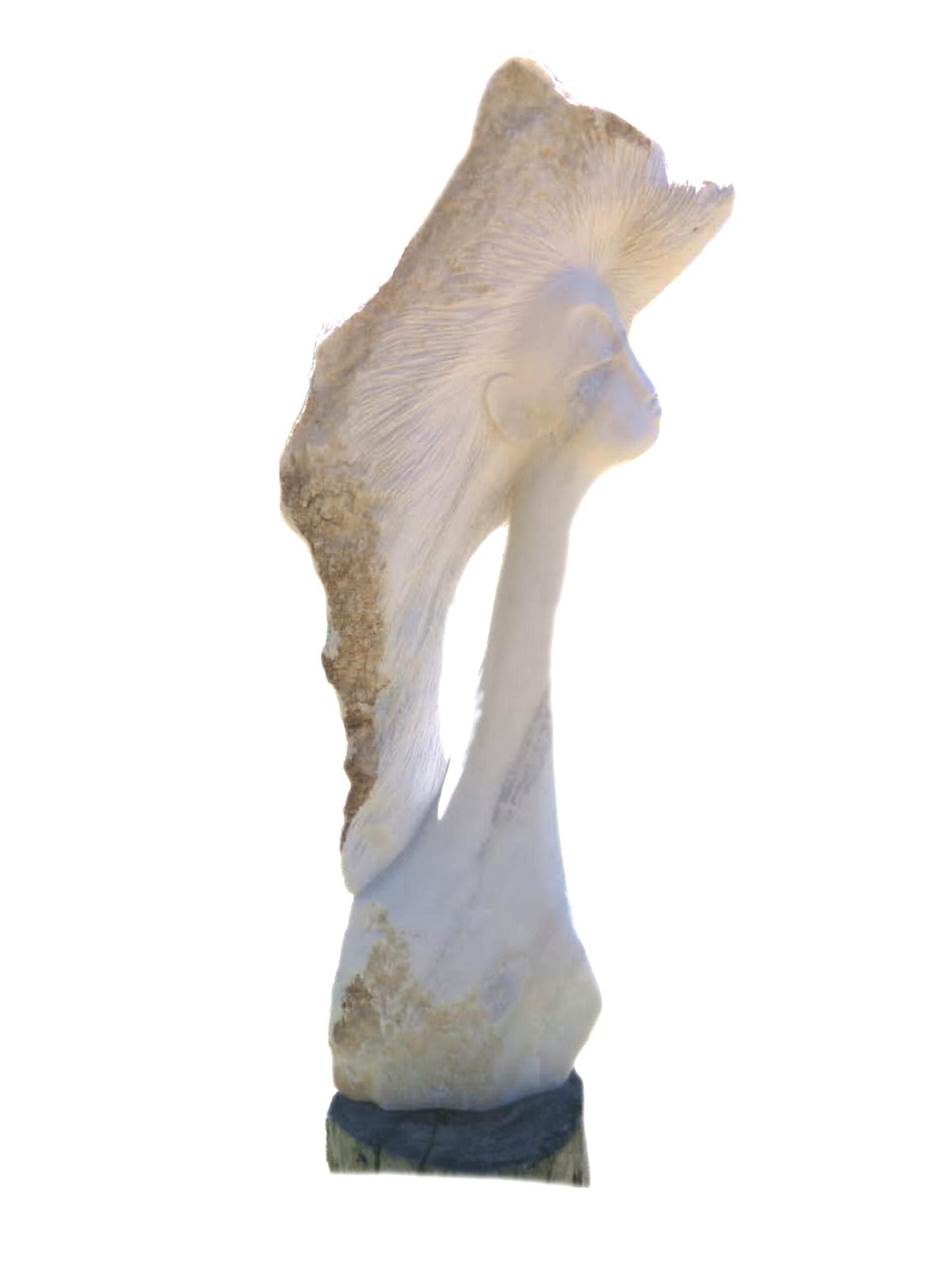 SHONA STONE SCULPTURE, lady bust statue, female head bust, dolomite stone, home decor statue, african statue, carving stone