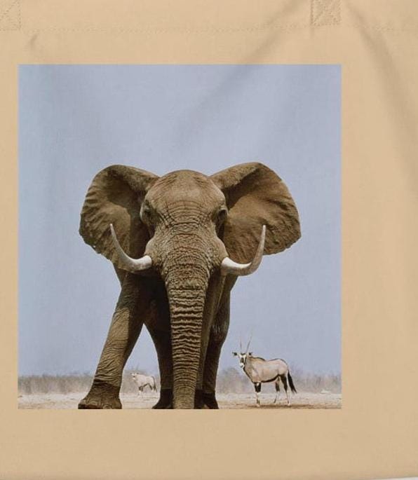Eco-friendly, African Wildlife Tote Bag - Organic Cotton Grocery Bag