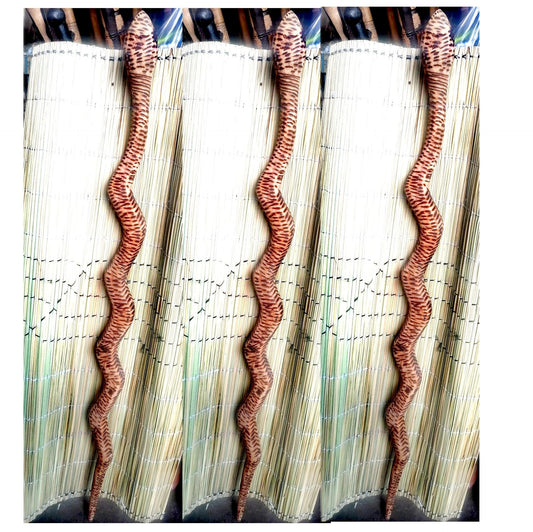 SNAKE WALKING STICK ,  walking canes for men, african canes for women, Wooden Walking Stick,  handmade stick, catwalk accessories,
