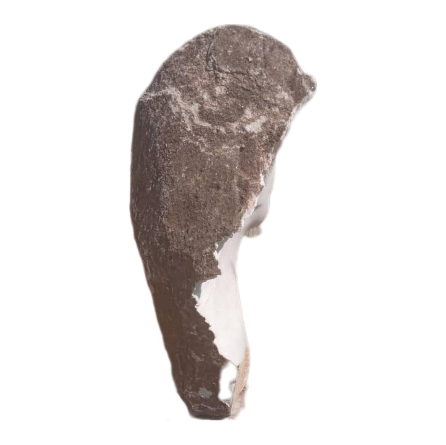SHONA STONE SCULPTURE, lady bust statue, female head bust, dolomite stone,  home decor statue, african statue, carving stone